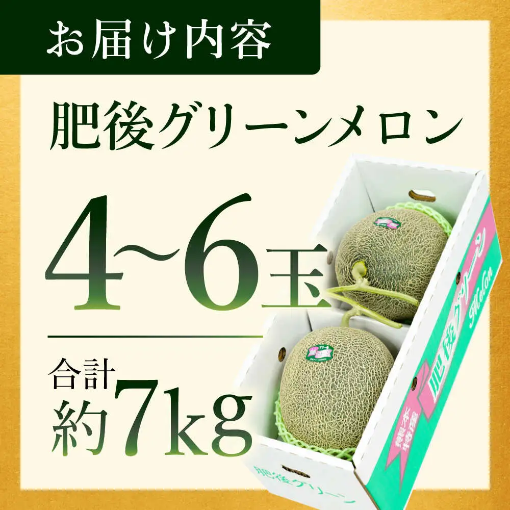 【先行予約】肥後グリーンメロン 約7kg(4?6玉入) メロン グリーンメロン フルーツ 熊本県産 【日本フルーツ株式会社】 [ZFJ006]