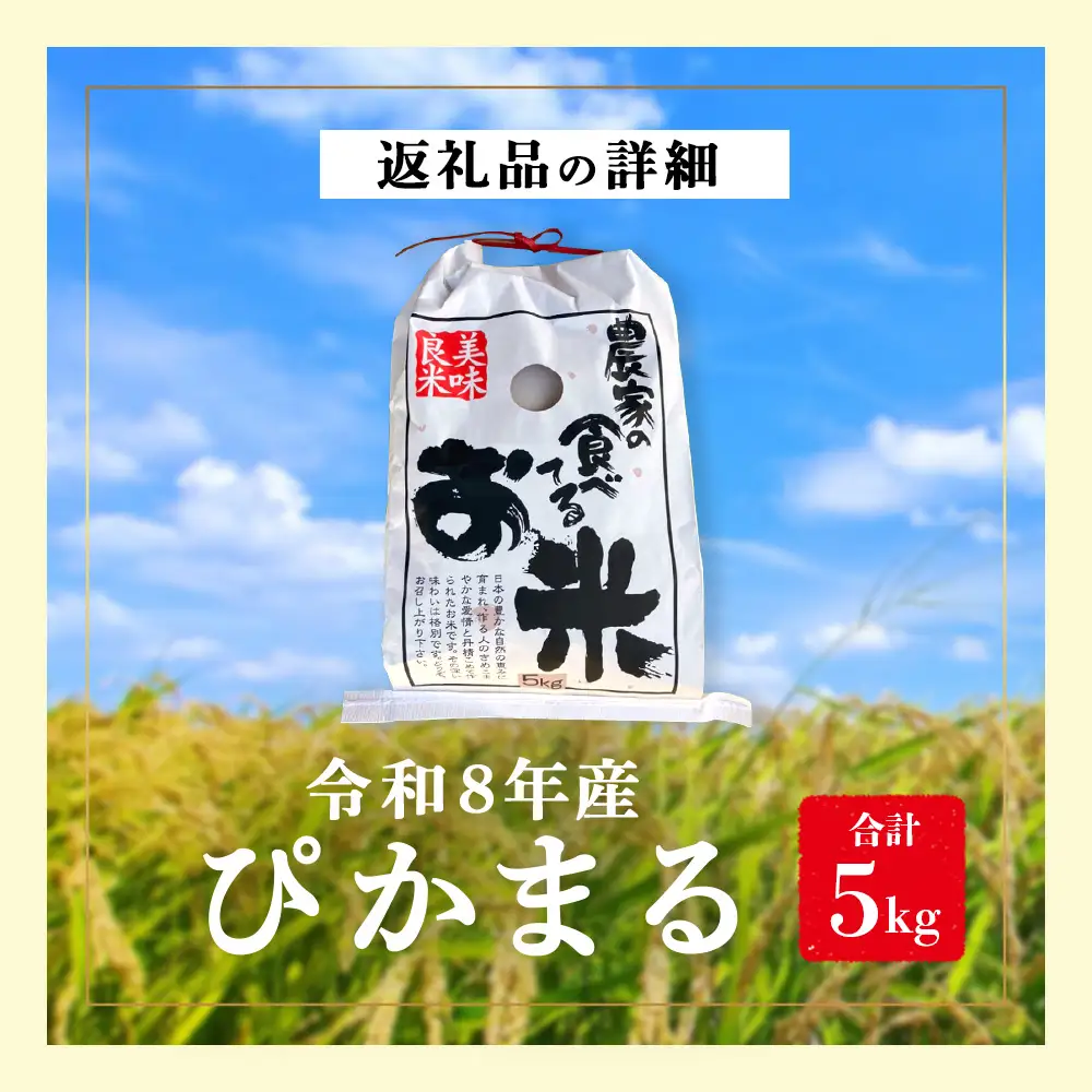 【令和8年産 新米 予約】多良木町産 ぴかまる 5kg 10月下旬より順次発送 熊本 065-0640