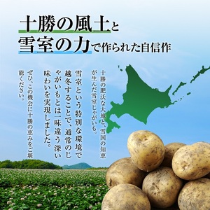 北海道産 熟成じゃがいも とうや 4㎏ 期間限定 雪室貯蔵 十勝産 ジャガイモ じゃが芋