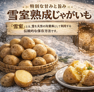 北海道産 熟成じゃがいも メークイン 4kg  期間限定 雪室貯蔵 十勝産 ジャガイモ じゃが芋