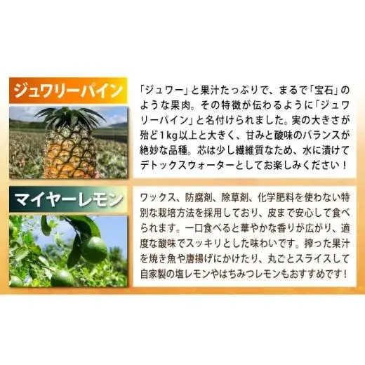 《年4回発送》パイナップル好きにおすすめ！大満足のパイナップル３品種＆マイヤーレモン定期便 《2027年4月以降発送》TF-067-t04