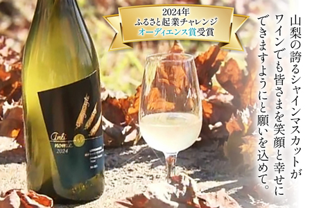 オレンジワイン Anti-nomie 2024 シャインマスカットワイン 750ml×1本 2024年 ふるさと起業チャレンンジ オーディエンス賞 受賞 お
