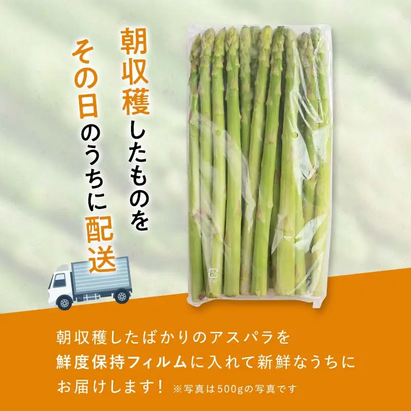 【先行予約】朝採れ新鮮アスパラ 750g （2Lサイズ） (2027年3月下旬~6月中旬または2027年7月上旬~9月上旬発送) 野菜 秀品 北海道産 バーベキュー BBQ キャンプ 旬野菜 アスパラガス 栄養満点 冷蔵発送 F21X-459
