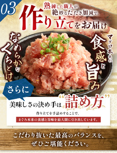 【 定期便 ・ 12ヶ月 】　小分け 100g パック ねぎとろ 900g | 清幸丸水産 ユッケ ネギトロ とろ 鮪 海鮮 魚介 魚 人気 小分け 人気 定番 ご飯 オススメ 千葉県 君津市 きみつ