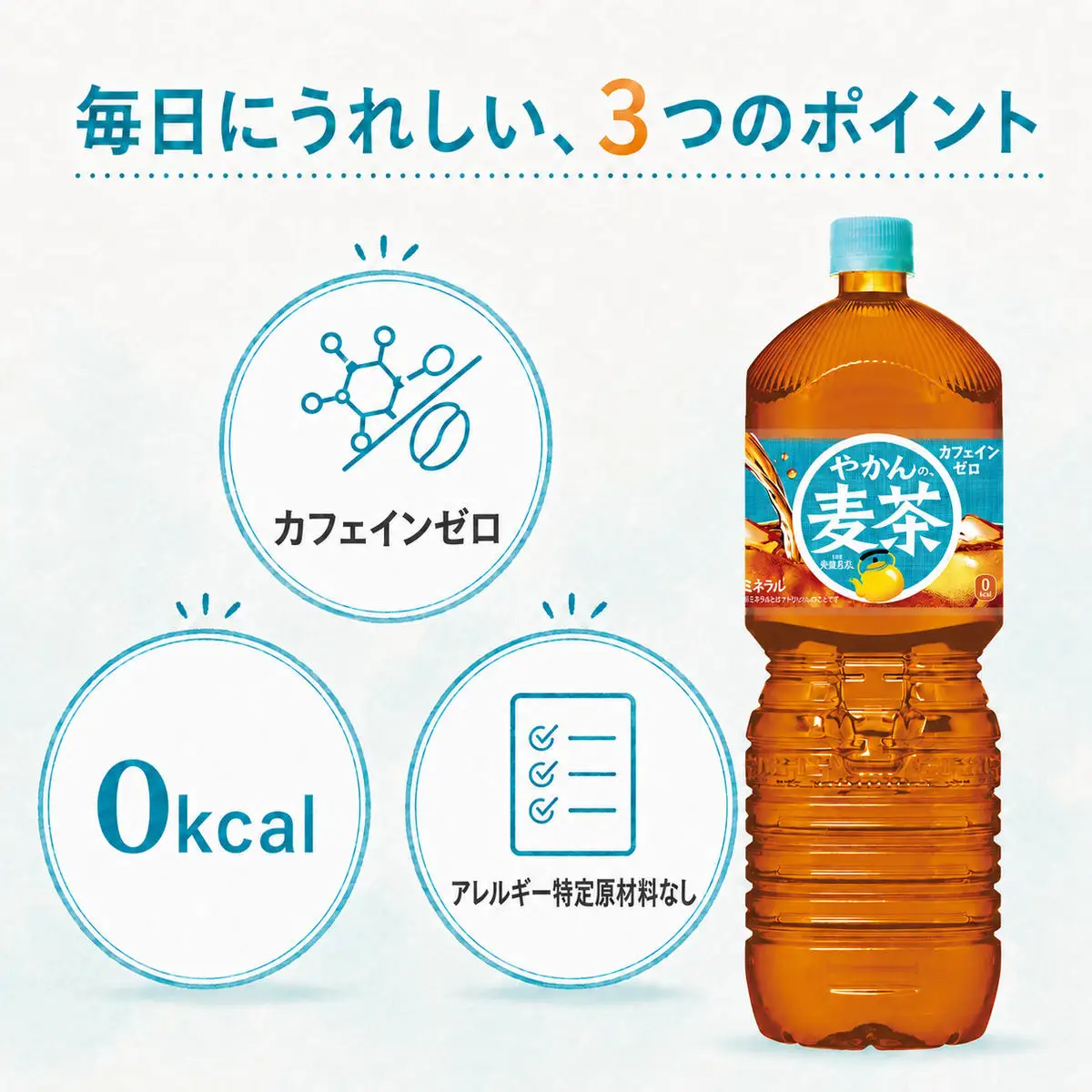 爽健美茶 やかん 2L 定期便 3ヶ月 麦茶 コカ・コーラ 
