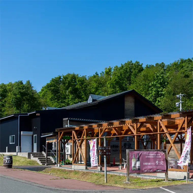 スパークリングワイン 赤ワイン 2本セット 紫波町産 AL063-1