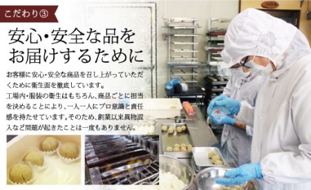 栗焼せんべい 「びっしゃげ」 5枚入り×8
