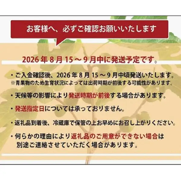 ＜2026年8月以降発送＞とよみつひめ ４パック約1200gセット（福岡市） | フルーツ 果物 くだもの 食品 人気 おすすめ 送料無料