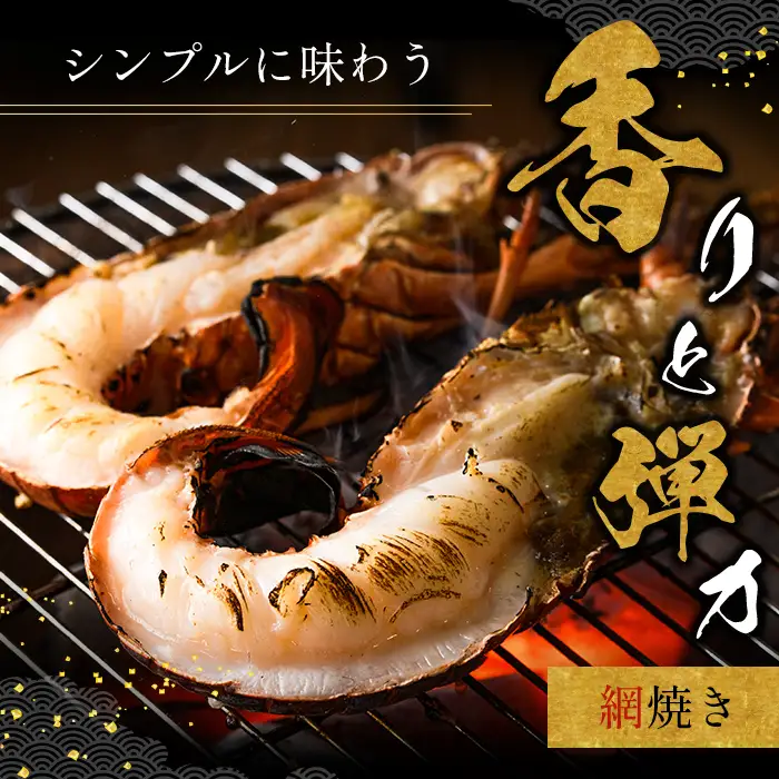 msm-013 《期間限定》伊勢海老 約1kg(2～3尾)【鹿児島県漁業協同組合三島村支所】三島村 伊勢海老 えび エビ 海老  魚介 味噌汁 網焼き 冷凍