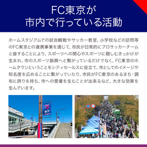 3回 定期便 FC TOKYO GOLDEN ALE 12本 缶ビール 計 36本  |  アルコール 酒 ビール FC東京 