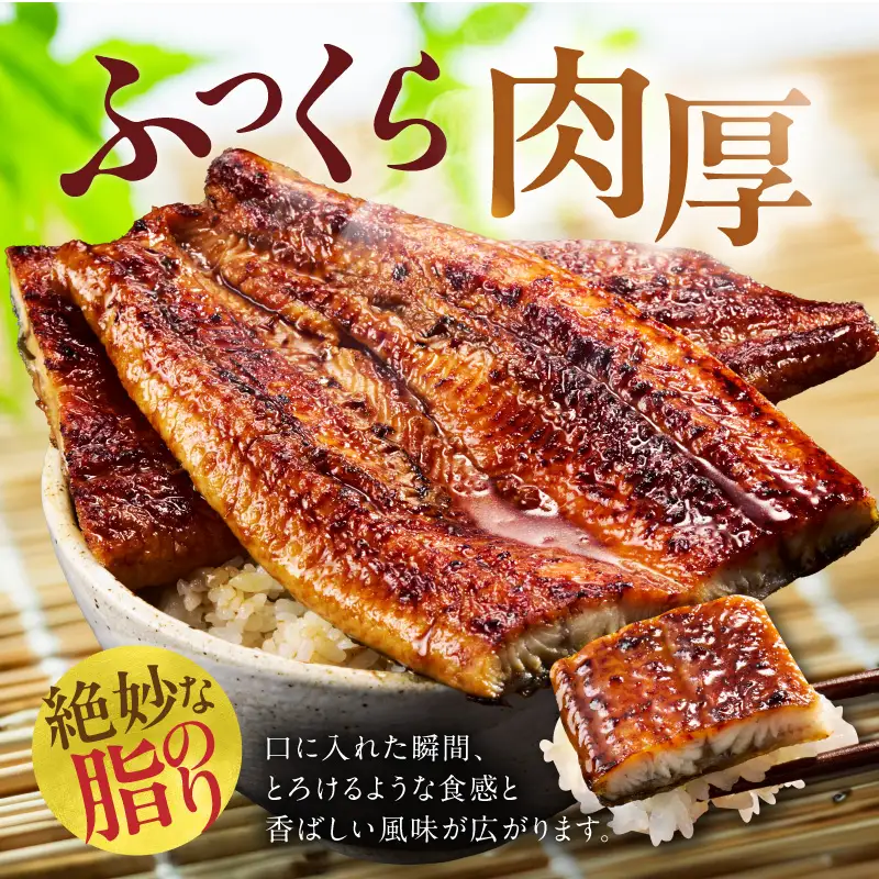うなぎ 蒲焼き 暴れ盛り 900g うなぎ 