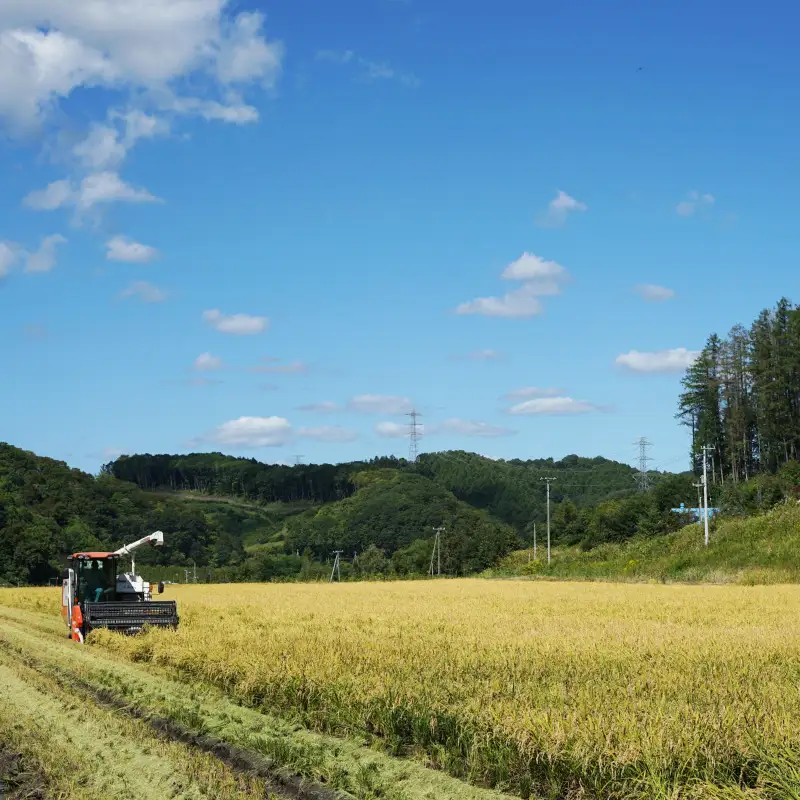 【お米定期便】特Aランクななつぼし5kg×12ヶ月（精米）北海道米 栗山町産