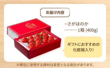 先行予約 2027年1月～発送 【化粧箱入り】いちご さがほのか400g /  いちご [IAP003]