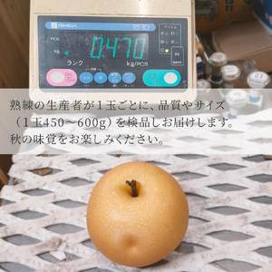 【ふるさと納税】＜2026年9月中旬～10月上旬ごろ発送予定＞＜訳あり 規格外 あきづき梨 3kg(4～7玉)＞先行受付予約 家庭用 自宅用 変形 しみ キズ サイズ混合 ナシ フルーツ グルメ 常温 黒岩 なし 旬 朝ドラ らんまん モデル 牧野富太郎のふるさと 佐川から直送