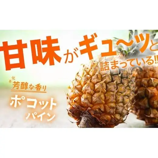 パイナップル 【先行予約】ピーチ＆ポコットパイン食べ比べ 1ｋｇ（計２玉）　KN-5