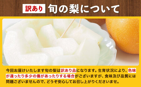梨 訳あり 旬の梨 約1.8kg