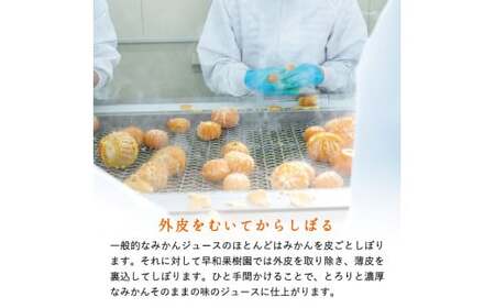 【早和果樹園】【定期便】飲むみかん20本×6ヶ月お届け（B400-3）