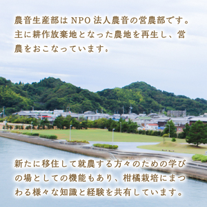 【せとか】【2027年3月中旬より発送】みかん せとか 2kg 愛媛県松山市【NO053】