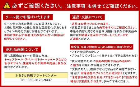 FD182 福智山ダム熟成 高級 貴腐ワイン白 シャトー リューセック 2022年 750ml×1本 熟成ワイン ワイン 酒 お酒