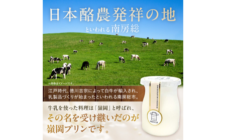 酪農発祥の里から嶺岡プリン詰合せ（プレーン２個・房州びわジュレ２個・南房総レモンジュレ２個） mi0010-0016-4
