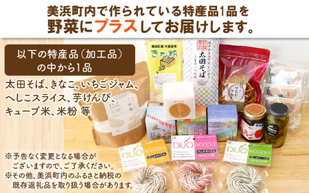 定期便 《6ヶ月連続お届け》旬のおまかせ「若狭みはま」の新鮮野菜セット 8種以上＋特産品1品【ふるさと納税 春野菜 夏野菜 秋野菜 冬野菜  定期便 定期 やさい 野菜 セット 詰合せ 大容量 産地直送 旬 新鮮 採れたて おススメ 人気 】  [m80-g001]