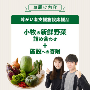 ★障がい者支援施設応援品★ ネオコスモ農園で採れた小牧の野菜詰め合わせ [124N02]