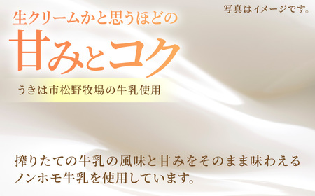 【年4回定期便】ソルベッチdoうきは ジェラート120ml×6個セット【ソルベッチdoうきは】着色料不使用 ノンホモ牛乳使用 ジェラート アイス 旬 スイーツ 詰め合わせ セット シャーベット ミルク フルーツ デザート 定期便