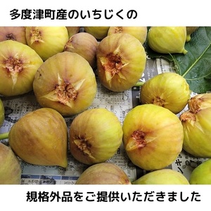【香川県丸亀市・多度津町共通返礼品】クラフトビール【Quad K Beer】セゾンビールとmucacaいちじくのフルーツビール 詰め合わせ 6本セット【B-66】