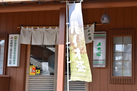 バイオ茶(3g×20パック入)×20袋合計1.2kg自家茶園の茶葉100％のお茶をお楽しみください！