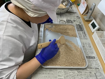 煎りごま2種いりごま 胡麻 ゴマ 国産 希少 料理 アレンジ 金ごま 黒ごま goma 袋 チャック付き セット セサミ 風味 香り トッピング 炒め物 食品 乾物