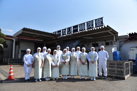 【訳あり】冷凍千切りごぼう 工場直送簡易包装 小分けパック100g×12袋