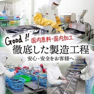 いかの天日干し 中サイズ 3枚 小分け パック 海鮮 魚介類 イカ 烏賊 おつまみ 三陸産 岩手県 大船渡市