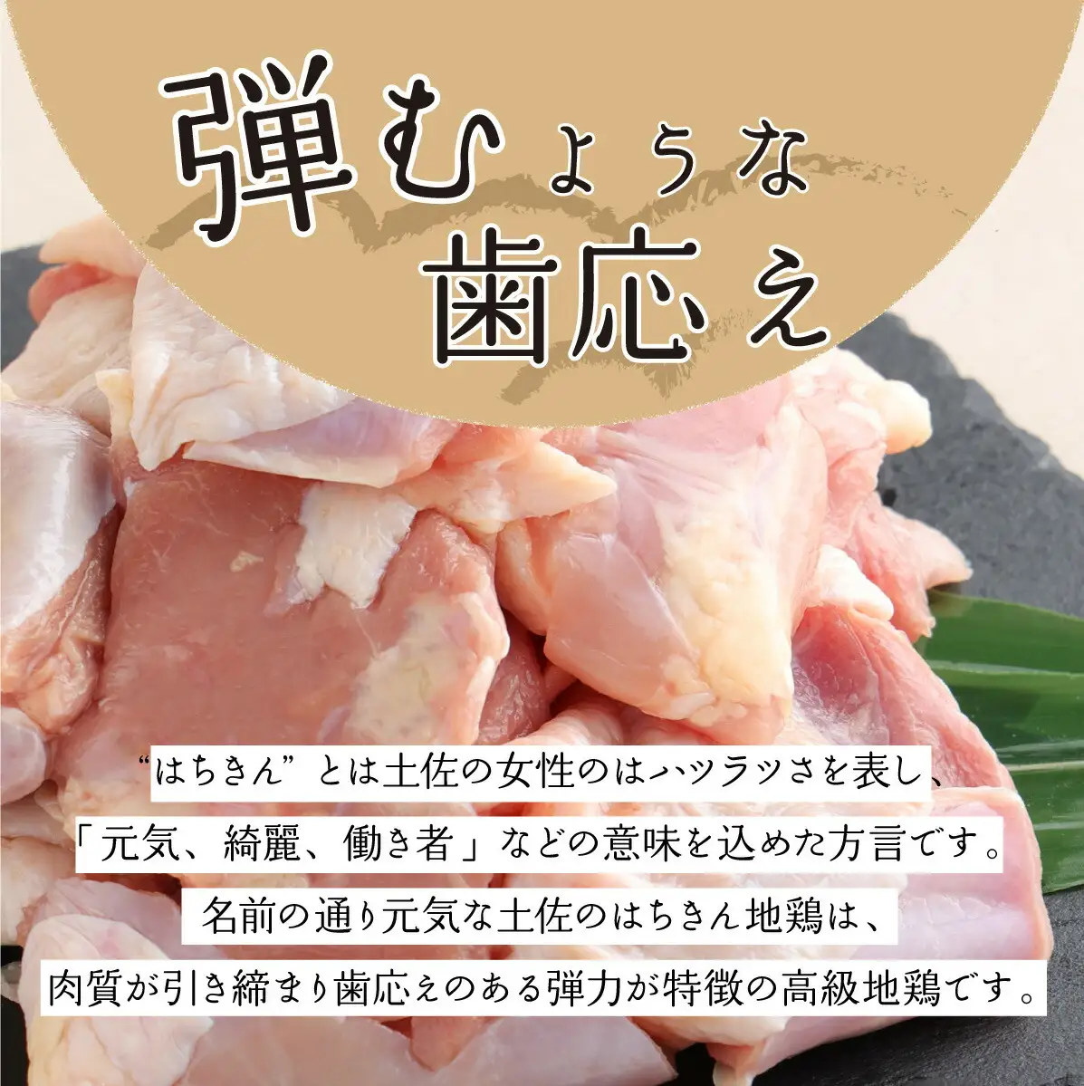 【高知県室戸市】はちきん地鶏 味付き手羽元1kg 地鶏肉 国産鶏肉 唐揚げ からあげ カレー BBQ バーベキュー 冷凍