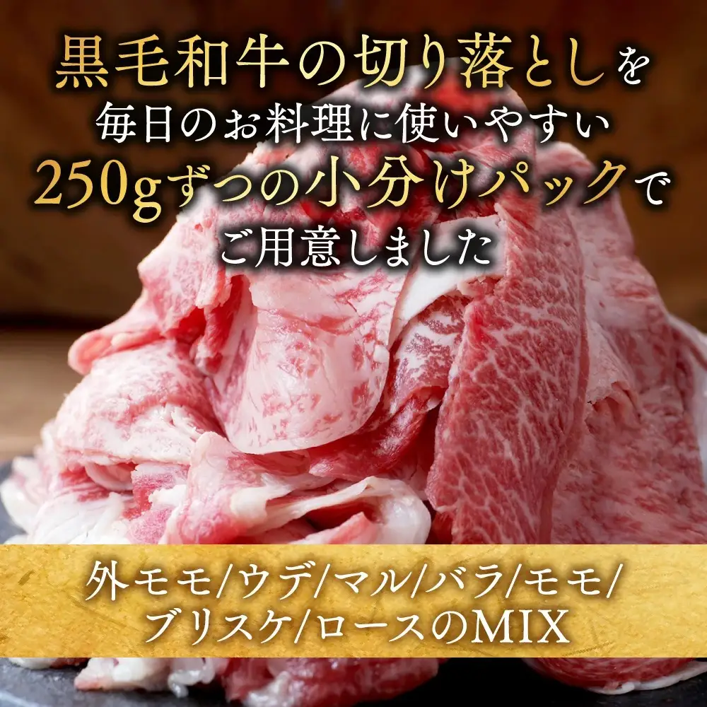 【黒毛和牛】切り落とし1kg(250g×4パック)〔13-I901〕_(都城市)国産黒毛和牛 切り落とし 250g×4パック 外モモ・ウデ・マル・バラ・モモ・ブリスケのMIX 肉じゃが 牛丼 ハヤシライス ビーフシチュー ブリスケ 