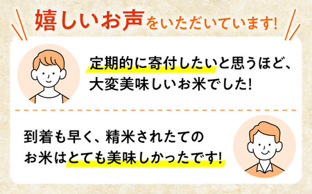 【新米】【全3回定期便】泉水のこしひかり 3kg×2袋 計6kg [APAJ010] 米