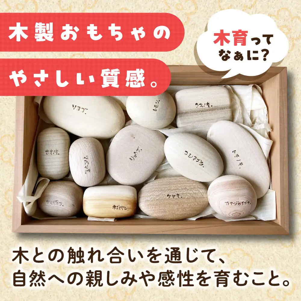 木のおもちゃ 12樹種セット[APAL015] 木育