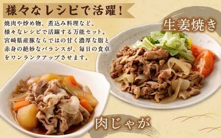 ＜【4回定期便】宮崎県産豚 バラエティセット 計2.7kg＞お申込みの翌月下旬頃に第一回目発送（12月は中旬頃）【c1442_mc_x1】 バラエティセット 4種 合計10.8kg 豚バラ焼肉 豚ロースor肩ローススライス 豚モモスライス 豚小間切れ 豚ロース 肩ロース 豚肉 豚 肉 精肉 料理 宮崎県産 宮崎県 宮崎 みやざき 高鍋町 定期便 冷凍