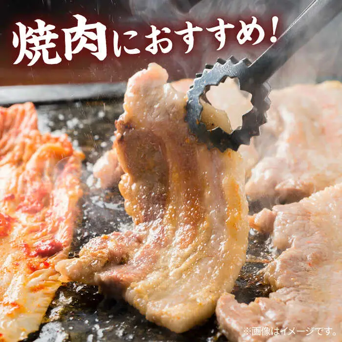 【スピード発送】豚肉 焼肉 500g [APAZ005] 豚肉