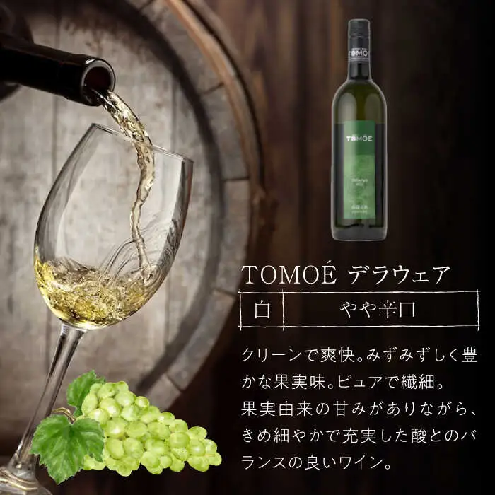 白ワイン 【先行予約】TOMOE 2本セットB[APAZ017] 白ワイン