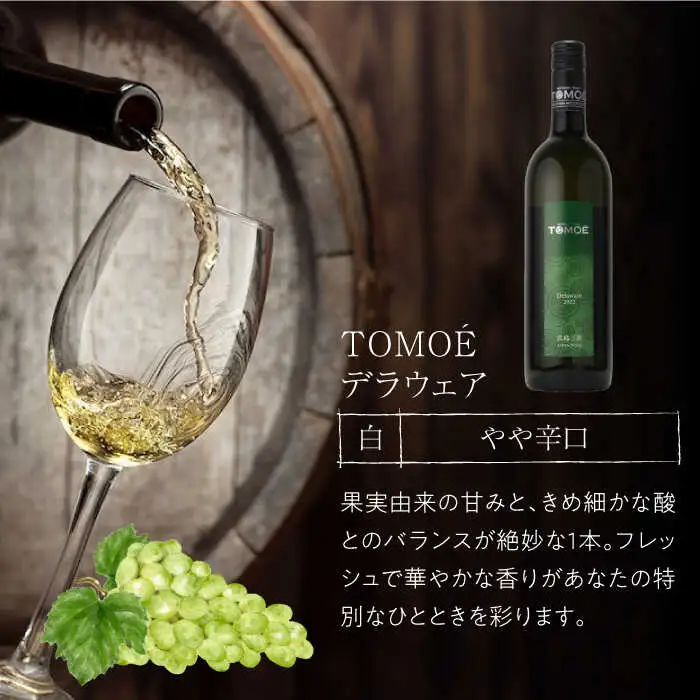  TOMOE 赤・白ワイン 3種セット[APAZ027]ワイン