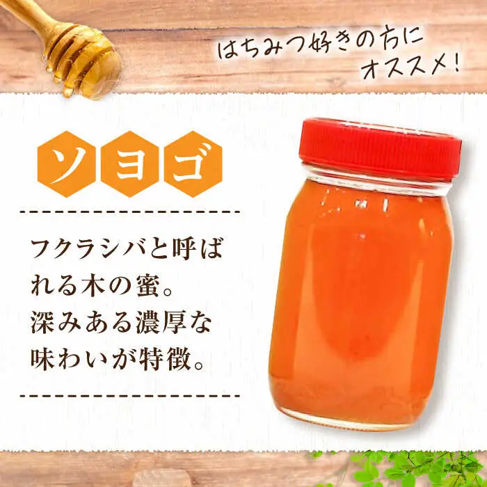 はちみつ 2種食べ比べセット 大容量 [APBO002] はちみつ