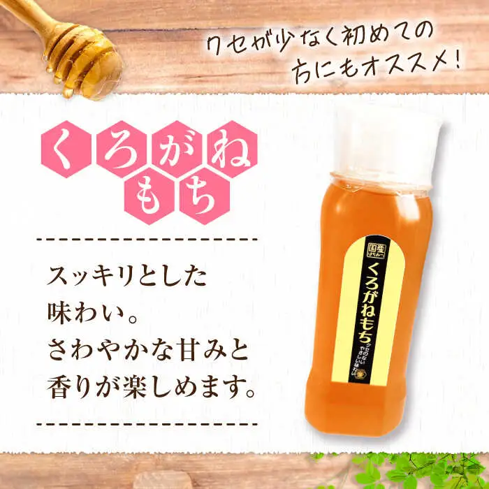 はちみつ チューブ2本セット（みかん・くろがねもち）各250g [APBO013] はちみつ