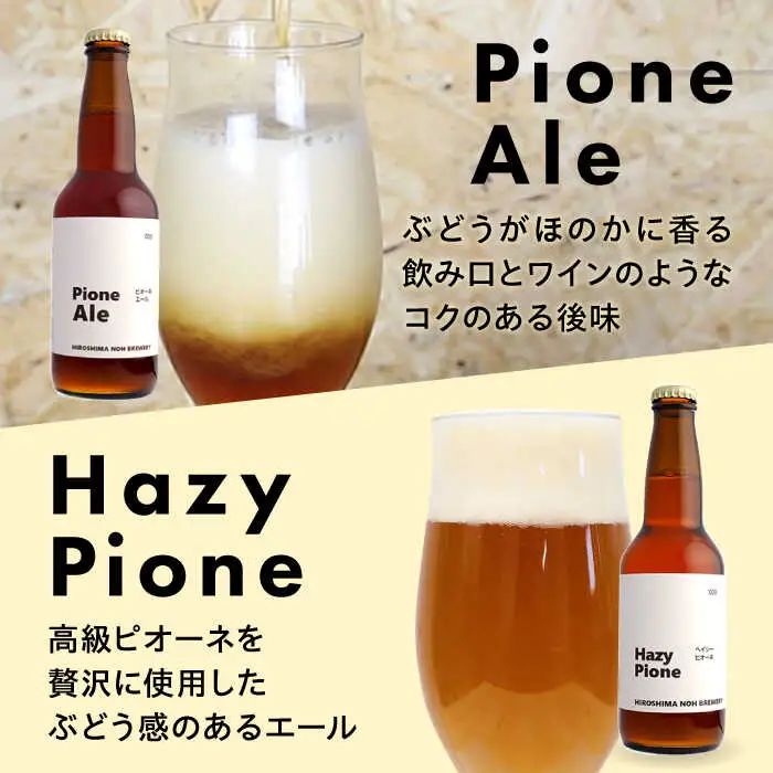【全2回定期便】クラフトビール（地ビール）6種類[APCA003] ビール