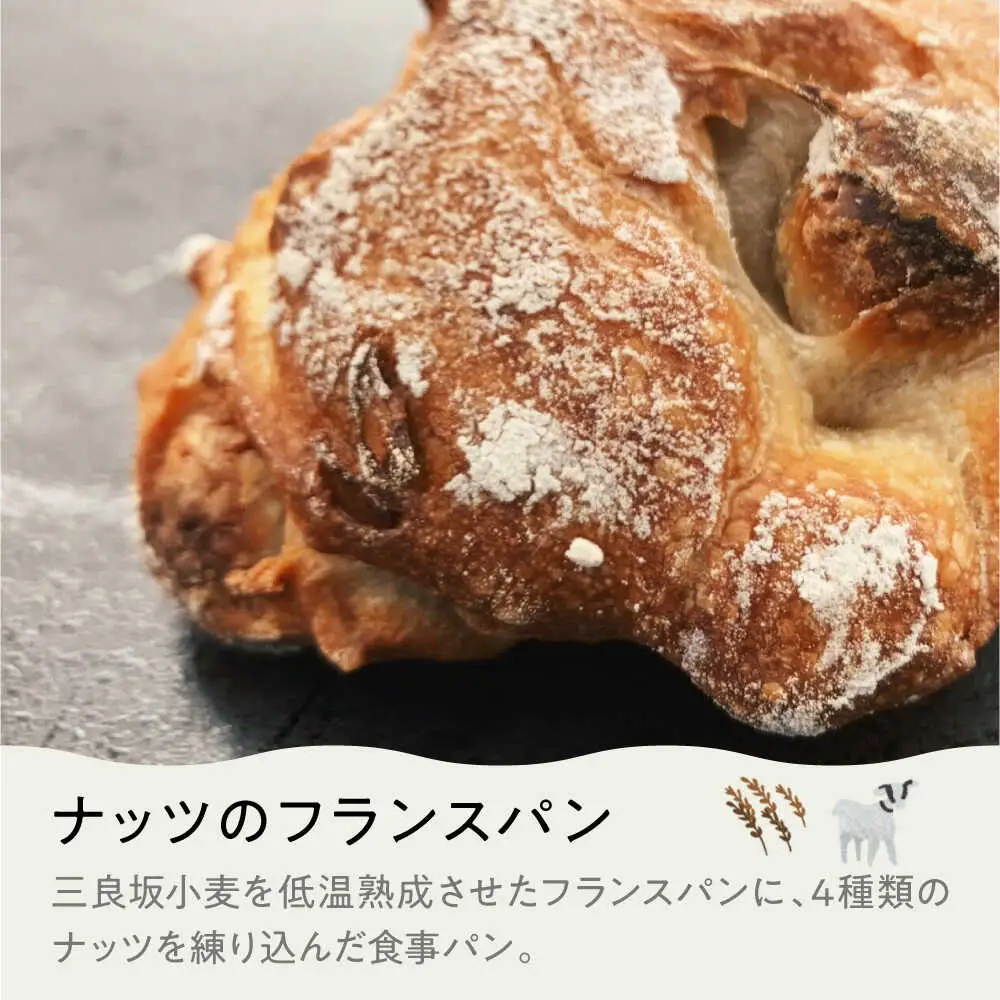 豊かな風味パンセレクション8個セット[APCI003] パン 詰め合わせ