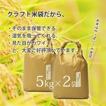 令和7年産 福岡県産「元気つくし」5kg×2袋 [10kg] [玄米](水巻町)【1445326】