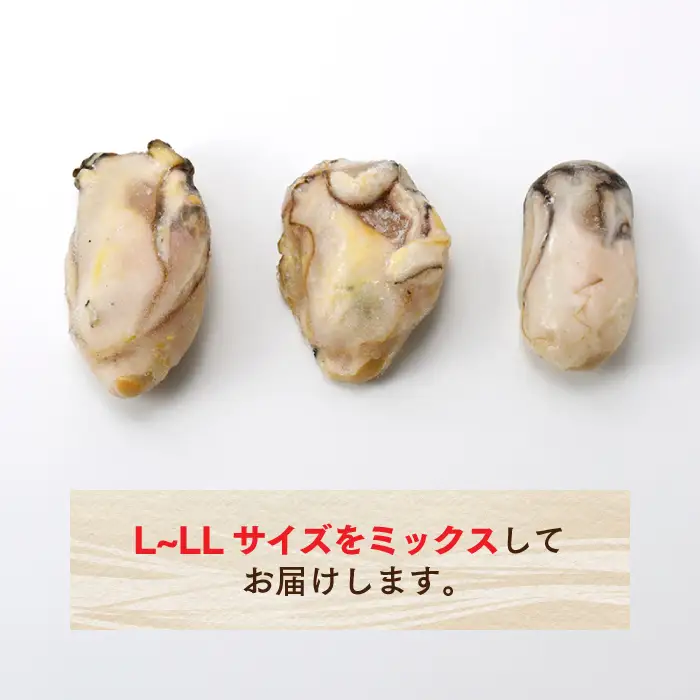 AB375.旬を急速凍結した濃厚な牡蠣（１．５ｋｇ）.バラ凍結.国産