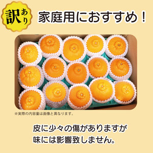 訳あり 不知火 約2kg 7個入り しらぬい 不知火 みかん ミカン