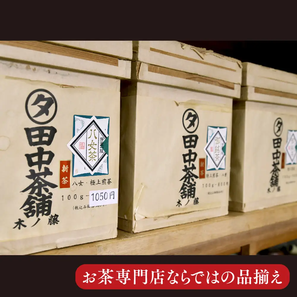 普段使いに「煎茶」200g×5本(H047131)