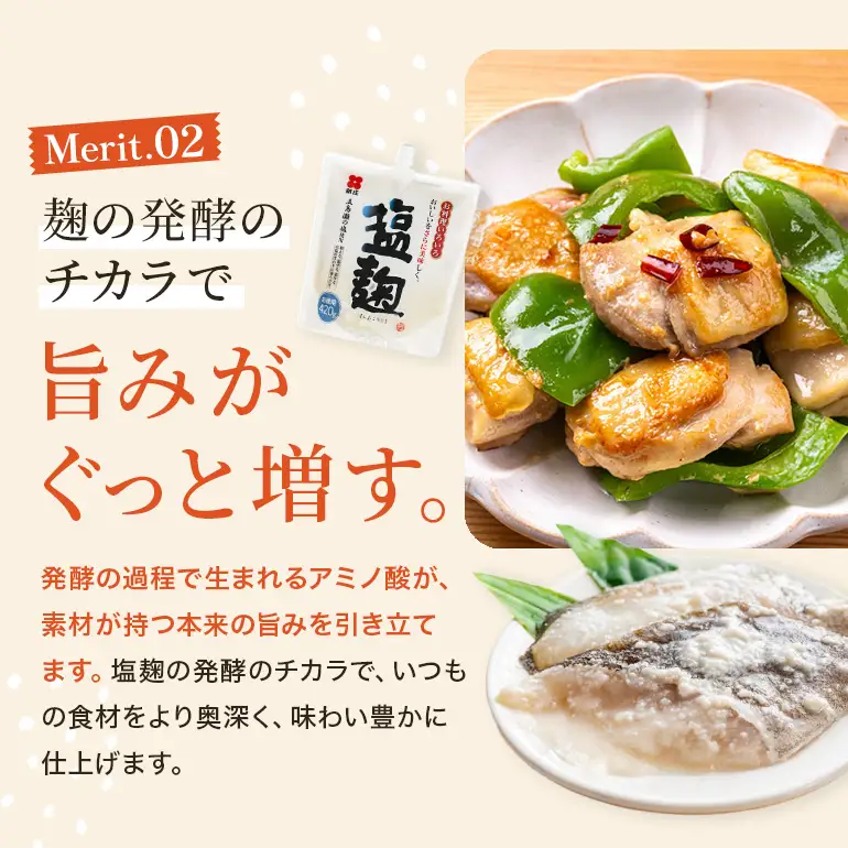 塩麹 お徳用セット 麹 セット 広島 安芸高田市