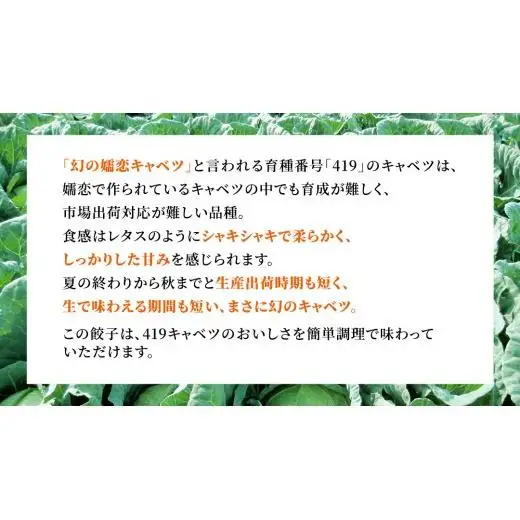 【 定期便 3ヶ月 】 まぼろしのキャベツ419使用 ザ・羽生田餃子 15個 × 2パック 計 30個 × 3回 ( 合計 90個 ) [AL016tu] 